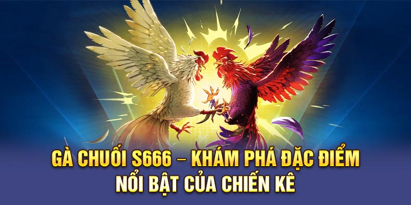 Gà Chuối S666 – Khám Phá Đặc Điểm Nổi Bật Của Chiến Kê